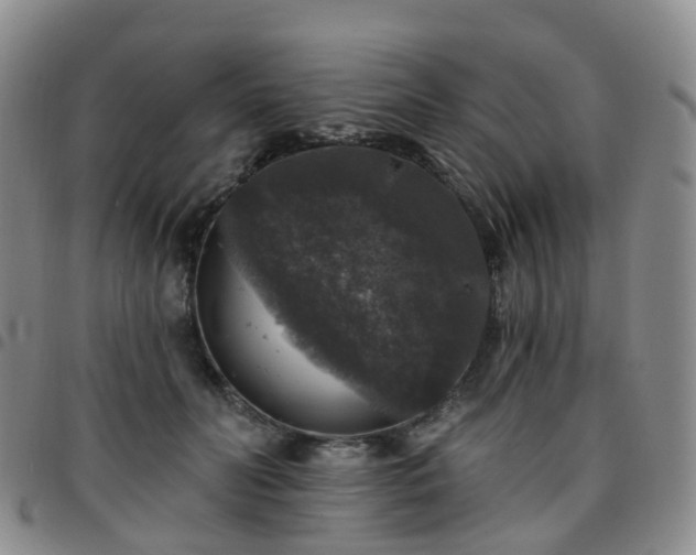 X0000097790606200803141831