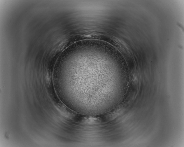 X0000097790607200803141831