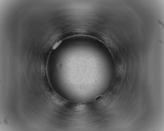 X0000097790609200803141831