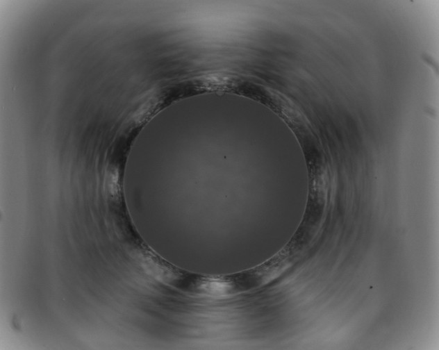 X0000097790610200803141831