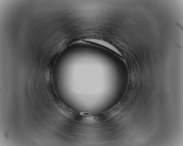 X0000097790611200803141831