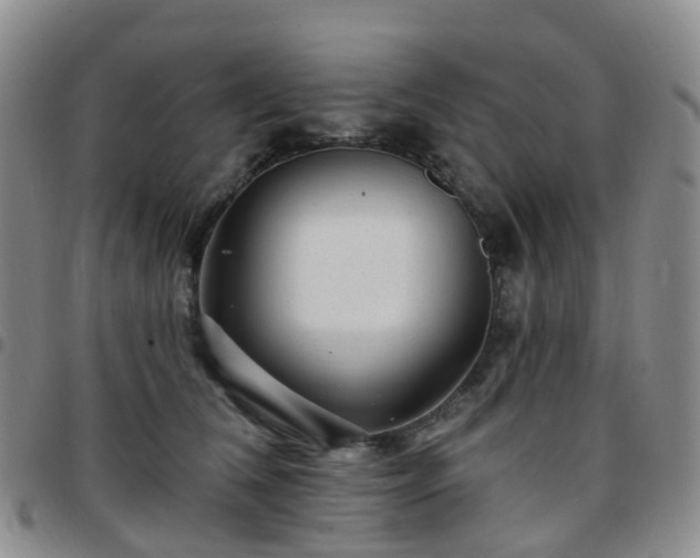 X0000097790612200803141831