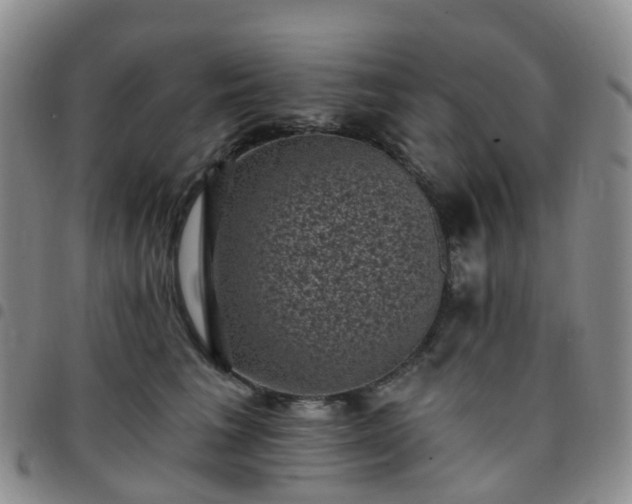 X0000097790613200803141831