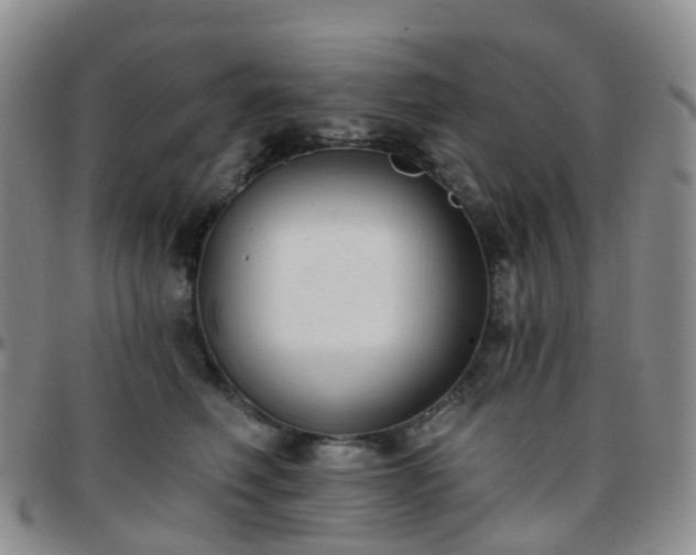 X0000097790614200803141831