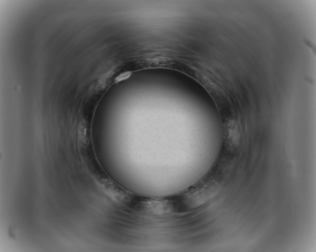 X0000097790615200803141831