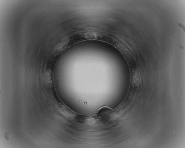 X0000097790616200803141831