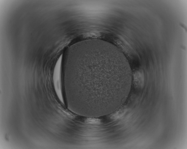 X0000097790617200803141831