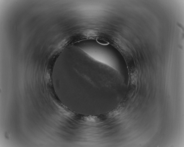 X0000097790618200803141831