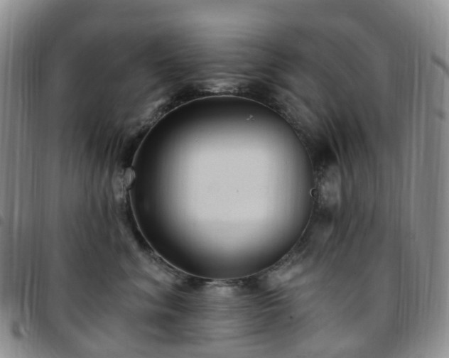 X0000097790620200803141830