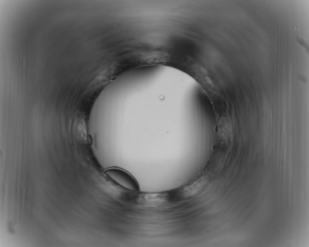 X0000097790622200803141830