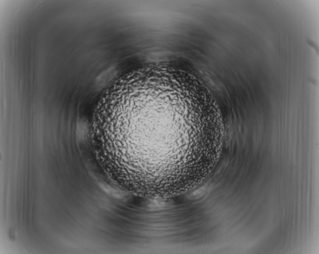 X0000097790623200803141830
