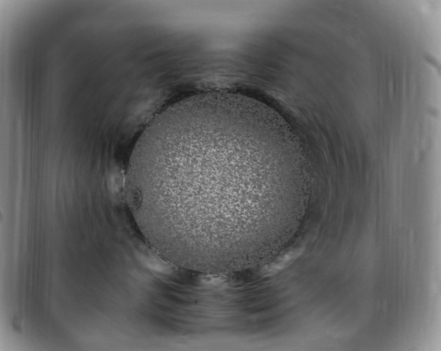 X0000097790624200803141830