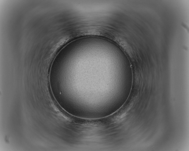 X0000097790625200803141830