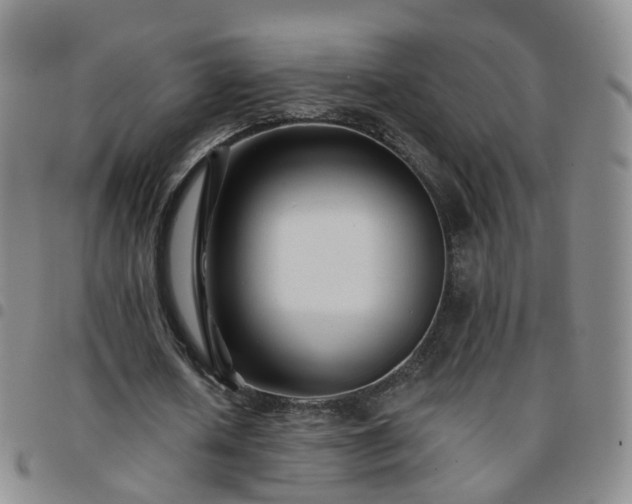 X0000097790626200803141830
