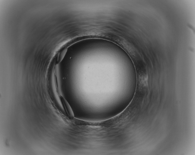 X0000097790628200803141830