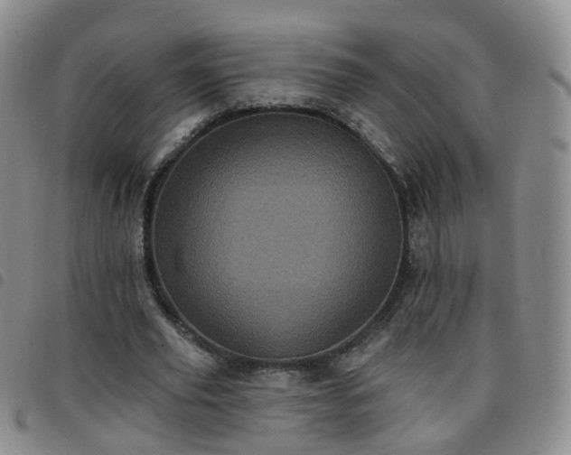 X0000097790629200803141830