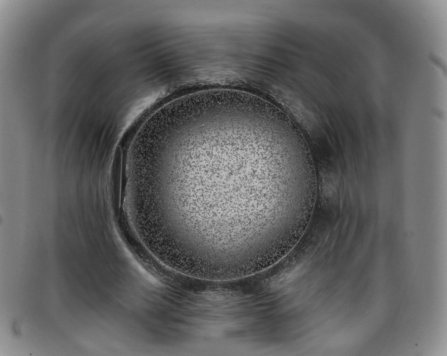 X0000097790630200803141830