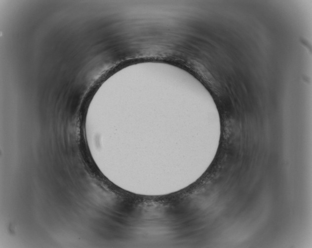 X0000097790632200803141830