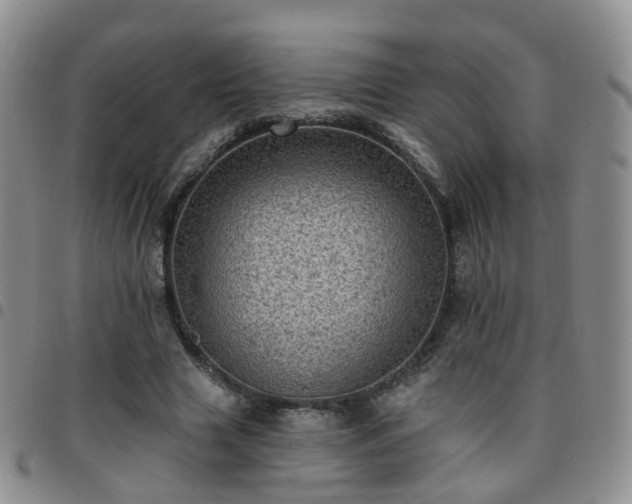 X0000097790633200803141830