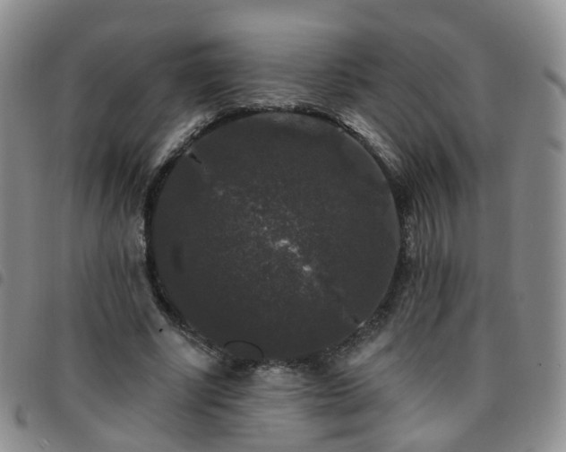 X0000097790634200803141830