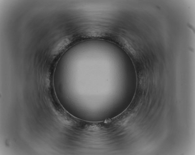 X0000097790635200803141830