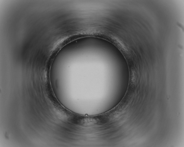 X0000097790636200803141830