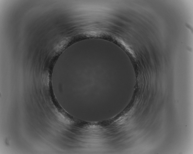 X0000097790637200803141830