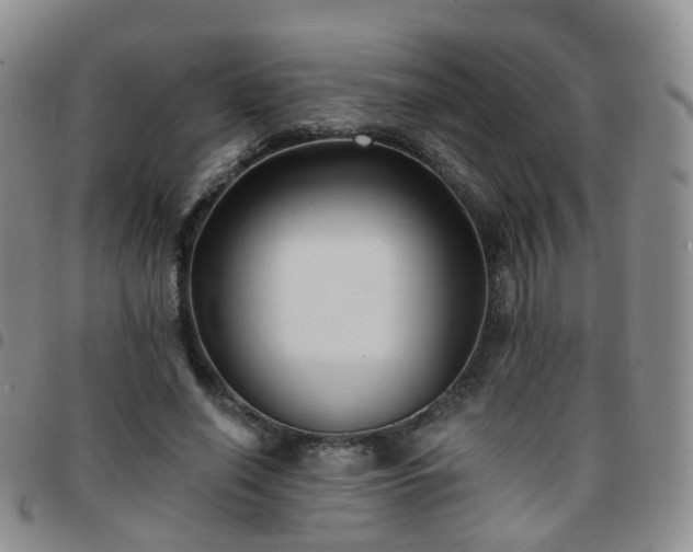 X0000097790638200803141830
