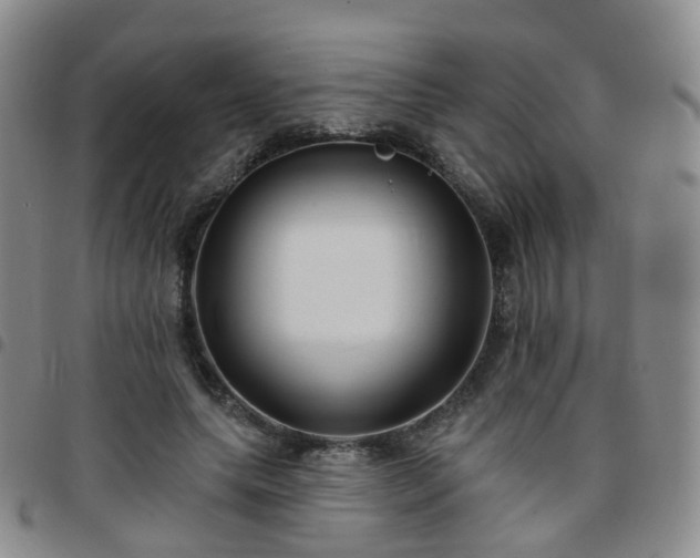 X0000097790639200803141830