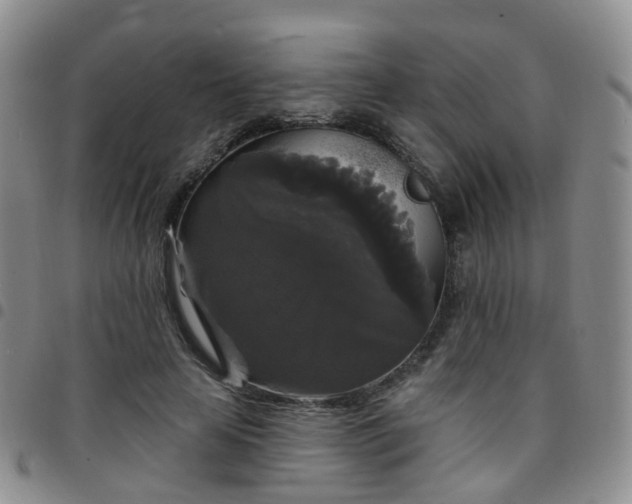 X0000097790641200803141830