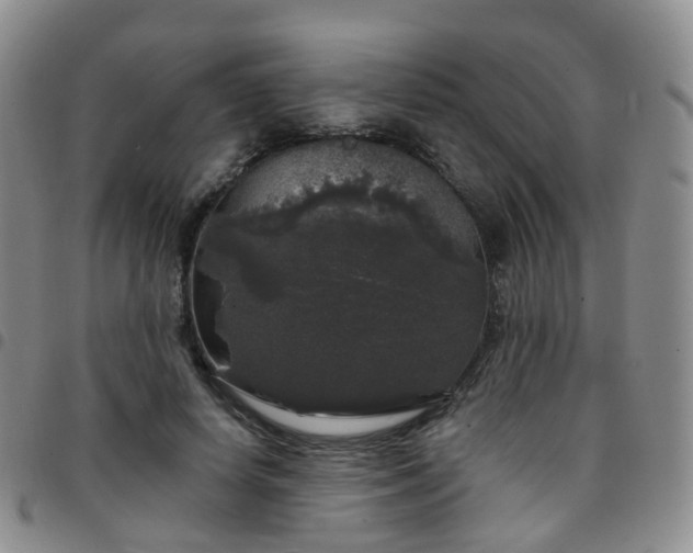X0000097790642200803141830