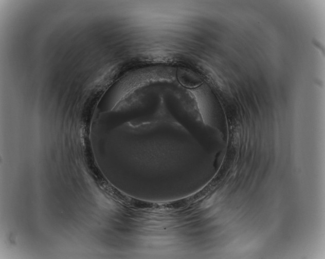 X0000097790643200803141830