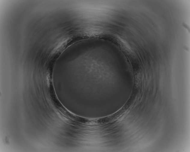 X0000097790644200803141830
