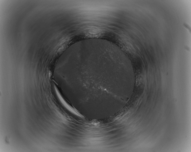 X0000097790647200803141830