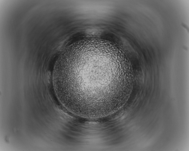 X0000097790649200803141830