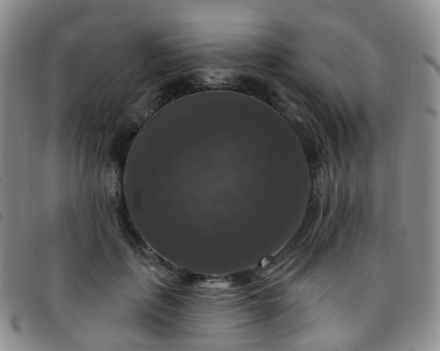 X0000097790651200803141830