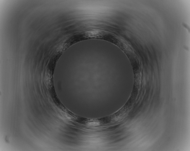 X0000097790653200803141830