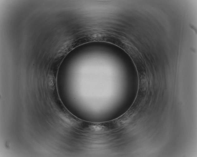 X0000097790654200803141830