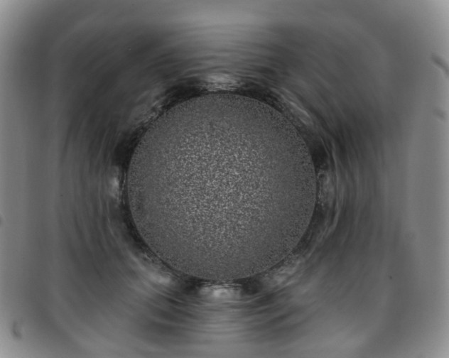 X0000097790655200803141830