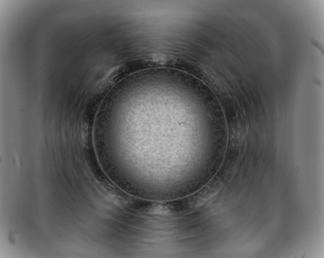 X0000097790656200803141830