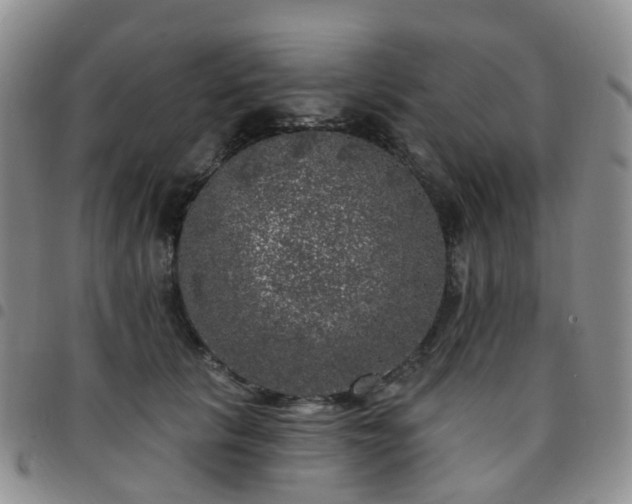 X0000097790657200803141830