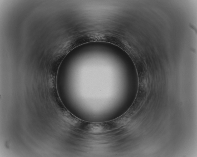 X0000097790658200803141830