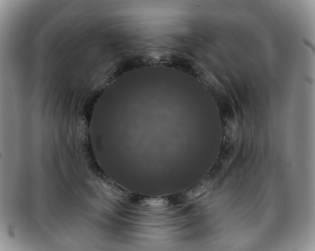 X0000097790659200803141830