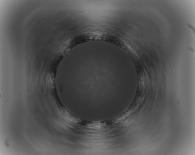 X0000097790661200803141830
