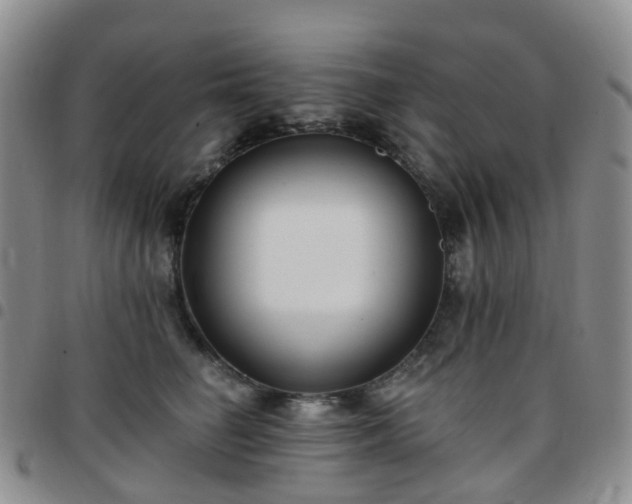 X0000097790662200803141830