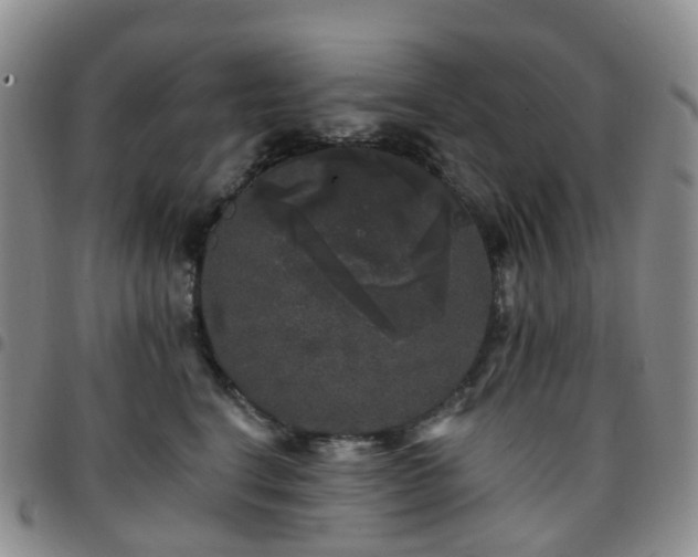 X0000097790664200803141830