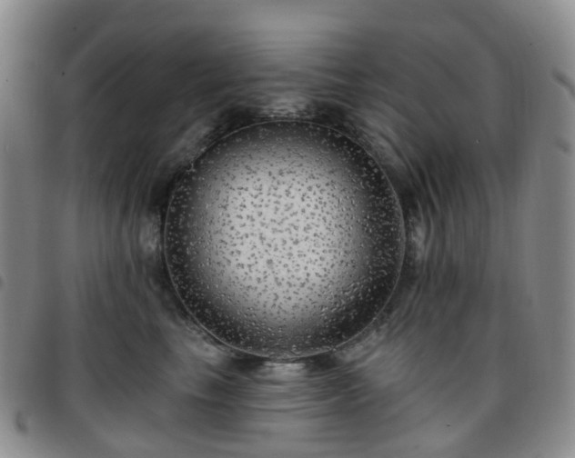 X0000097790665200803141830
