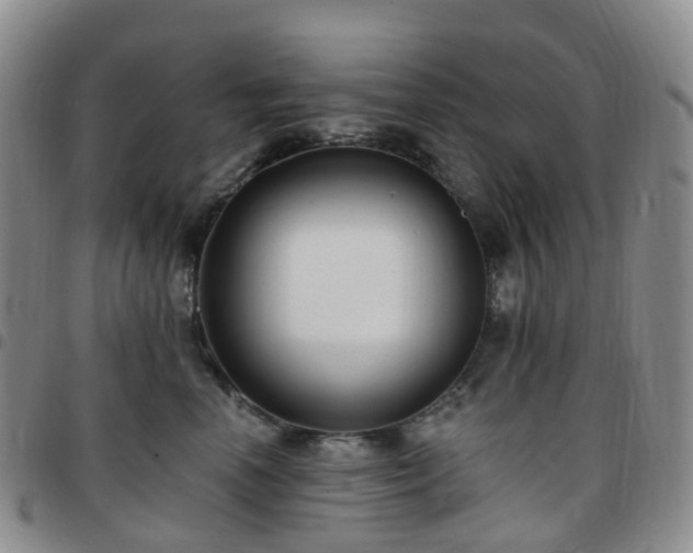 X0000097790666200803141830