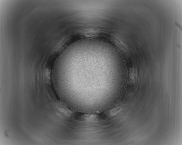X0000097790667200803141830
