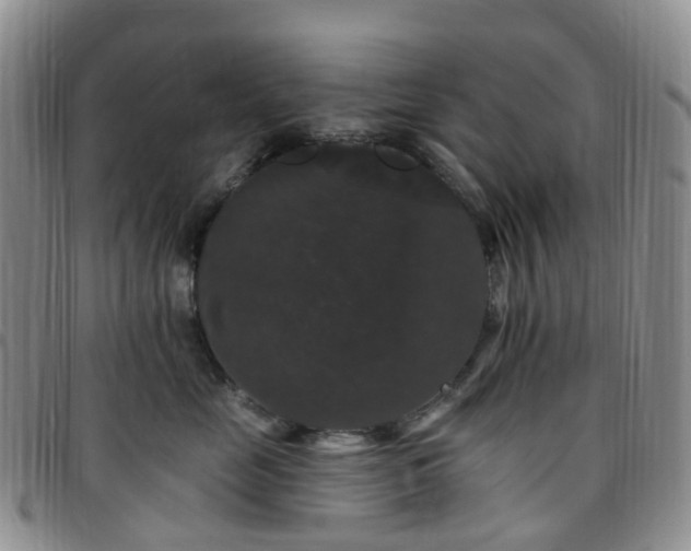 X0000097790669200803141830
